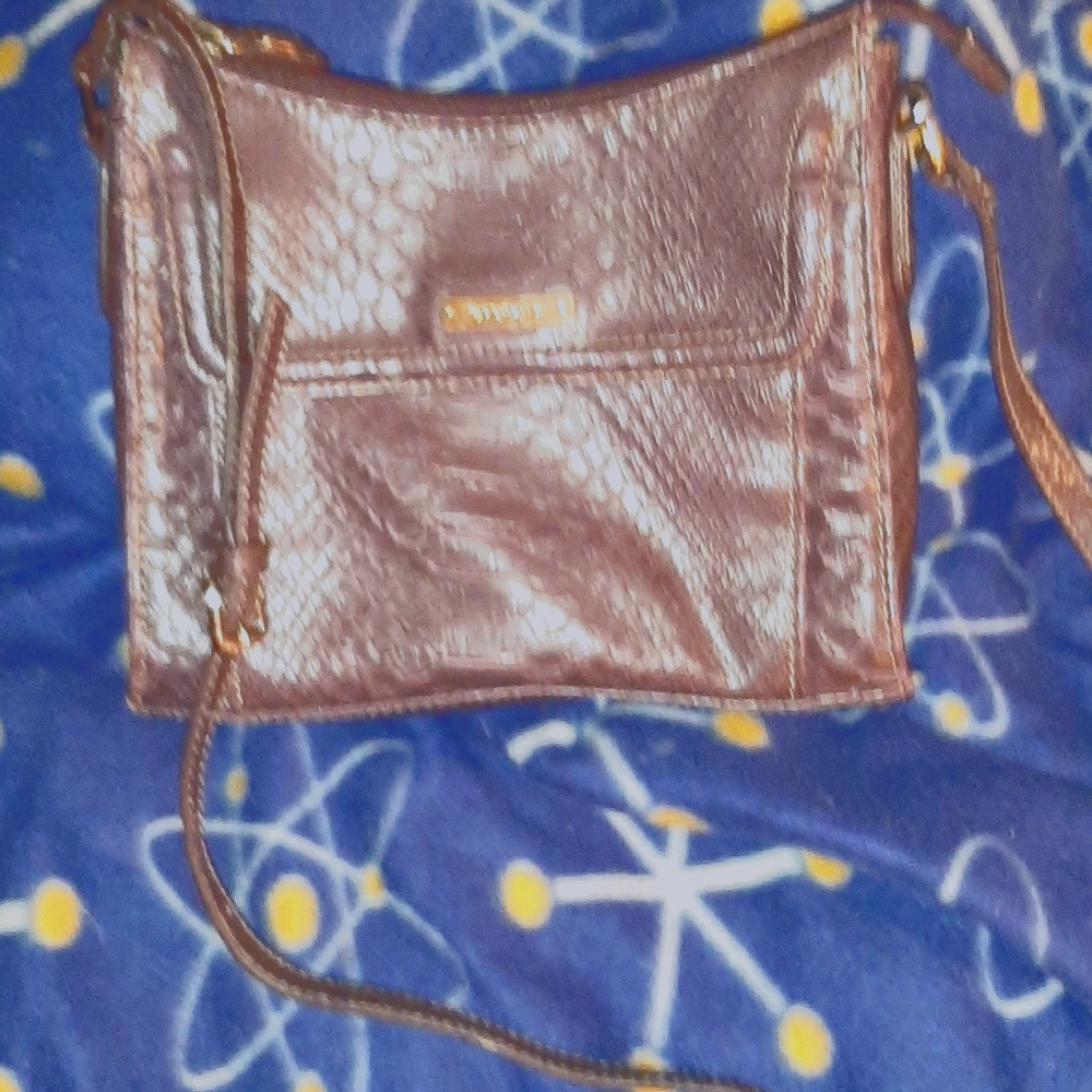Liz Claiborne small carry all